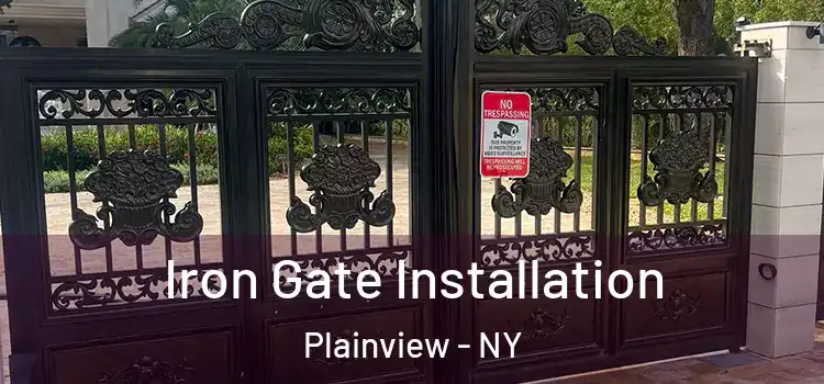 Iron Gate Installation Plainview - NY